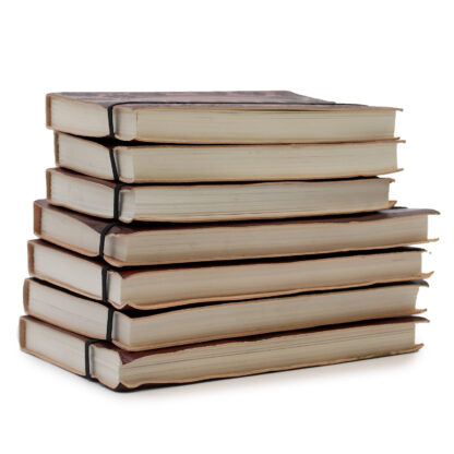 Medium Notebook with strap - Palmistry - Image 3