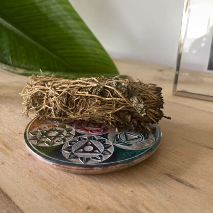 Soapstone Disc Incense Cone Holder 10cm - Seven Chakra - Image 7